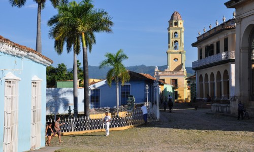 Auto-tour Mambo